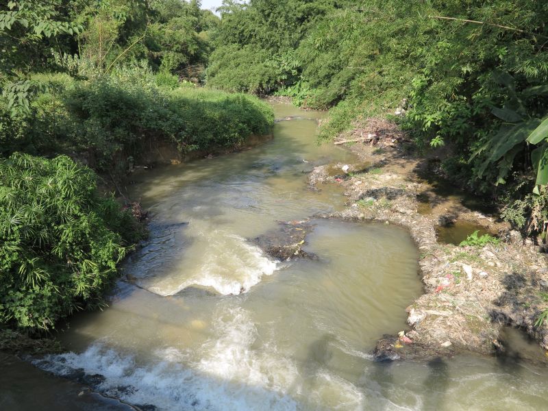 W020241119527180991431