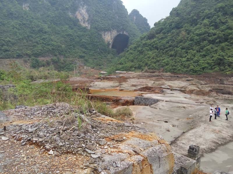 W020241119527181990252